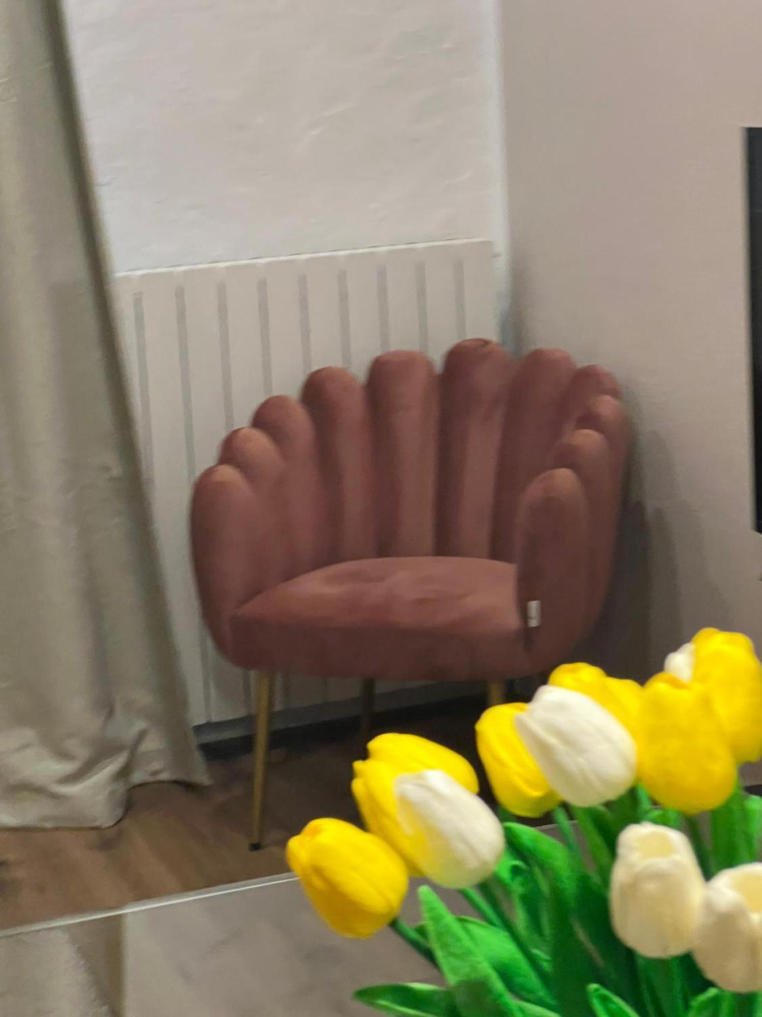 Residenza San Rocco "Suite Sul Lago" Orta San Giulio Esterno foto